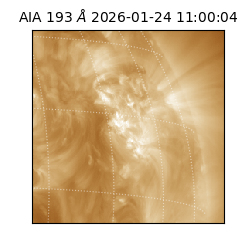 saia - 2026-01-24T11:00:04.843000