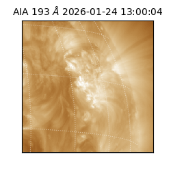 saia - 2026-01-24T13:00:04.843000