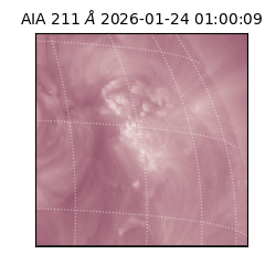 saia - 2026-01-24T01:00:09.626000