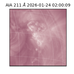 saia - 2026-01-24T02:00:09.626000