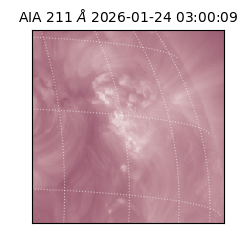 saia - 2026-01-24T03:00:09.626000