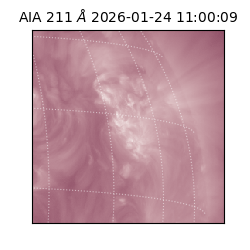 saia - 2026-01-24T11:00:09.626000