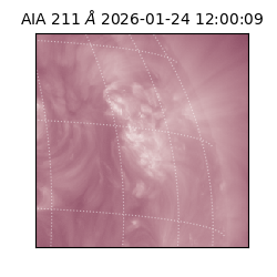 saia - 2026-01-24T12:00:09.630000