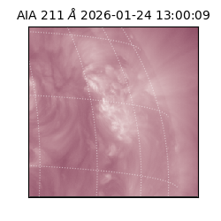 saia - 2026-01-24T13:00:09.632000