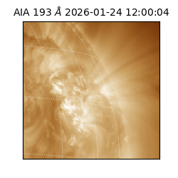 saia - 2026-01-24T12:00:04.843000