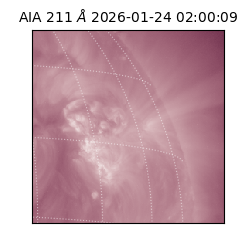 saia - 2026-01-24T02:00:09.626000