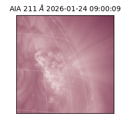 saia - 2026-01-24T09:00:09.630000