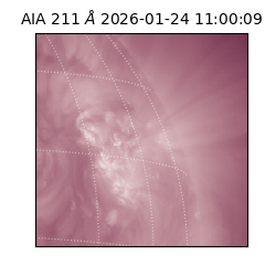 saia - 2026-01-24T11:00:09.626000