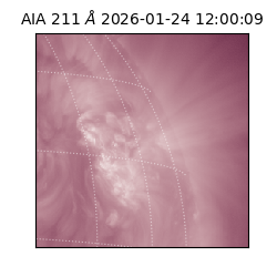 saia - 2026-01-24T12:00:09.630000