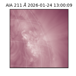 saia - 2026-01-24T13:00:09.632000