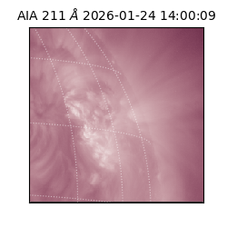 saia - 2026-01-24T14:00:09.633000