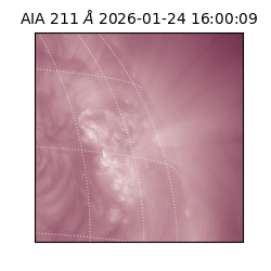 saia - 2026-01-24T16:00:09.631000