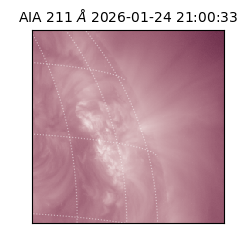 saia - 2026-01-24T21:00:33.626000