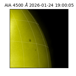 saia - 2026-01-24T19:00:05.962000