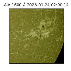 saia - 2026-01-24T02:00:14.125000