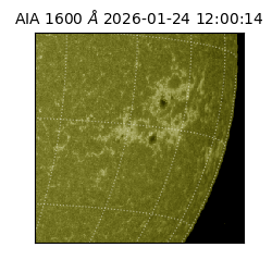 saia - 2026-01-24T12:00:14.126000