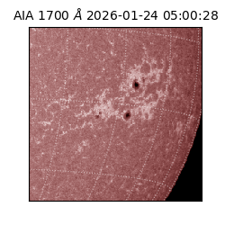 saia - 2026-01-24T05:00:28.718000