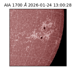 saia - 2026-01-24T13:00:28.717000