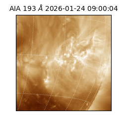 saia - 2026-01-24T09:00:04.844000