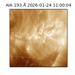 saia - 2026-01-24T11:00:04.843000