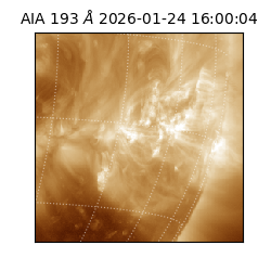 saia - 2026-01-24T16:00:04.843000