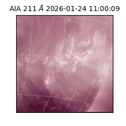 saia - 2026-01-24T11:00:09.626000