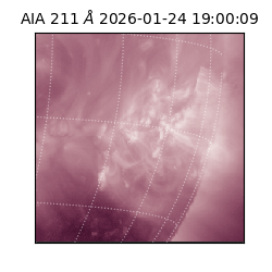 saia - 2026-01-24T19:00:09.634000