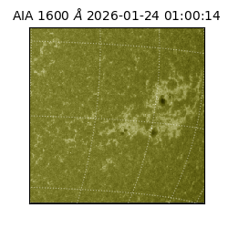 saia - 2026-01-24T01:00:14.125000