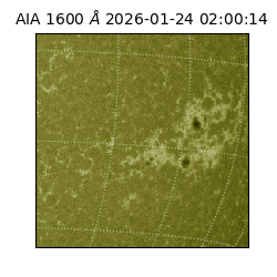 saia - 2026-01-24T02:00:14.125000