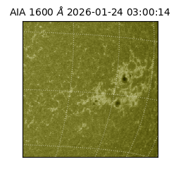 saia - 2026-01-24T03:00:14.126000