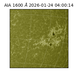 saia - 2026-01-24T04:00:14.126000