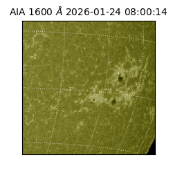 saia - 2026-01-24T08:00:14.126000