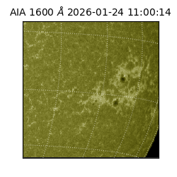 saia - 2026-01-24T11:00:14.125000