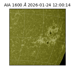 saia - 2026-01-24T12:00:14.126000