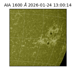 saia - 2026-01-24T13:00:14.125000