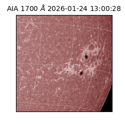 saia - 2026-01-24T13:00:28.717000