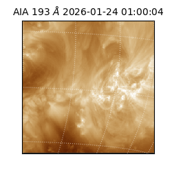 saia - 2026-01-24T01:00:04.842000