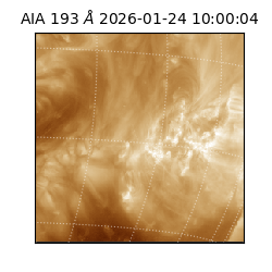 saia - 2026-01-24T10:00:04.843000