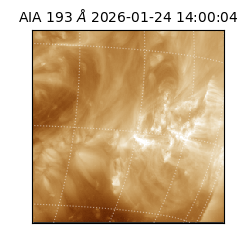 saia - 2026-01-24T14:00:04.843000