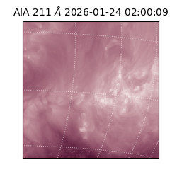 saia - 2026-01-24T02:00:09.626000