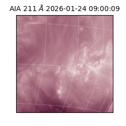 saia - 2026-01-24T09:00:09.630000