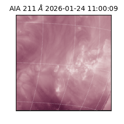 saia - 2026-01-24T11:00:09.626000