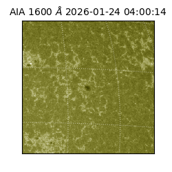 saia - 2026-01-24T04:00:14.126000