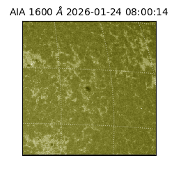 saia - 2026-01-24T08:00:14.126000