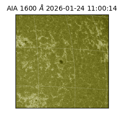 saia - 2026-01-24T11:00:14.125000