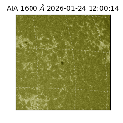 saia - 2026-01-24T12:00:14.126000