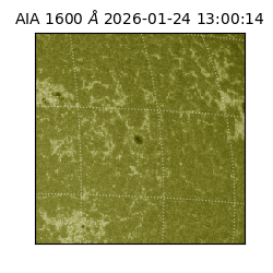 saia - 2026-01-24T13:00:14.125000