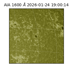 saia - 2026-01-24T19:00:14.126000