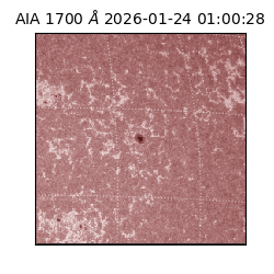 saia - 2026-01-24T01:00:28.718000