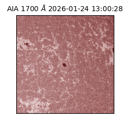 saia - 2026-01-24T13:00:28.717000